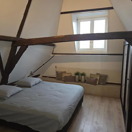 公寓 Slapen Bij De Buren
