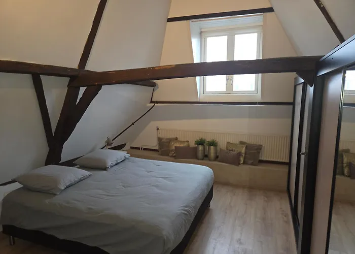 公寓 Slapen Bij De Buren